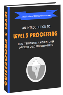 introduction_to_level_3_processing_ebook